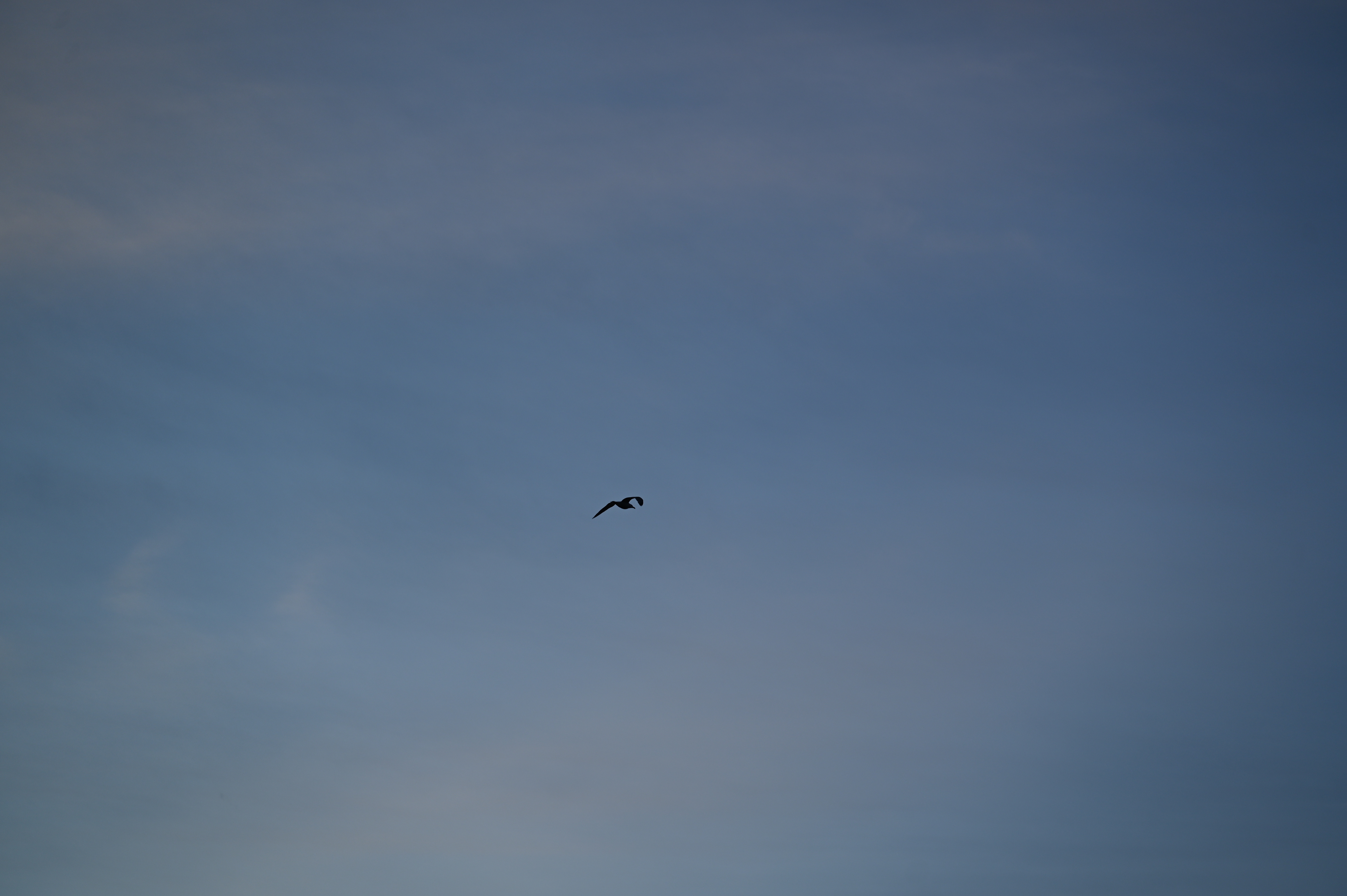 2025/07/09-14 - trip/DSC_0612.JPG